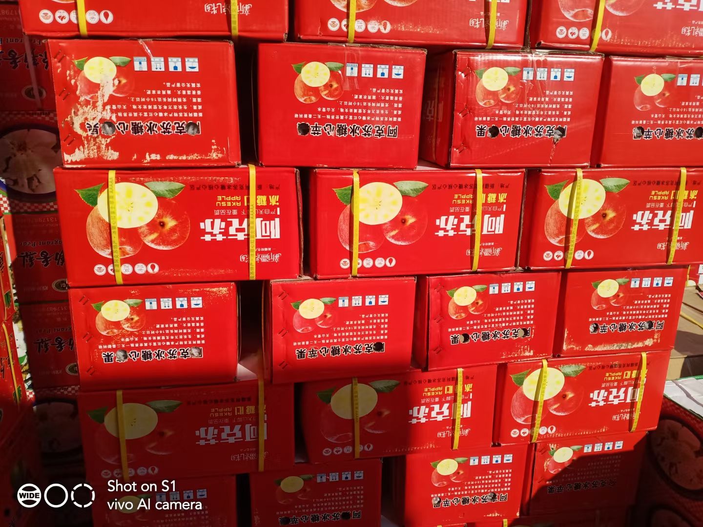 红富士苹果 阿克苏冰糖心苹果  口感好糖心足
