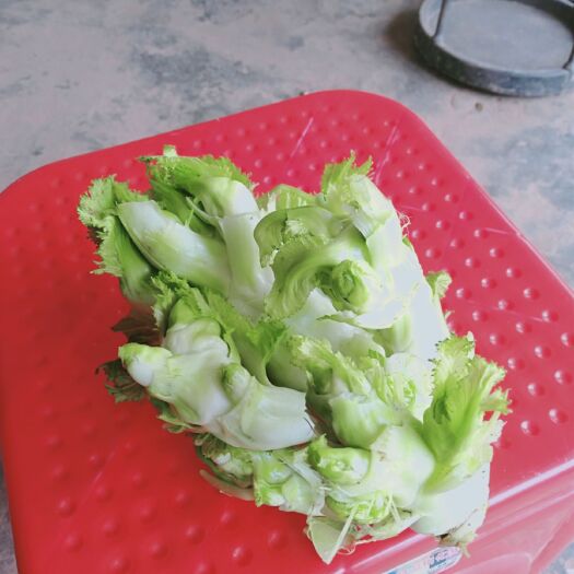 简阳市早熟儿菜