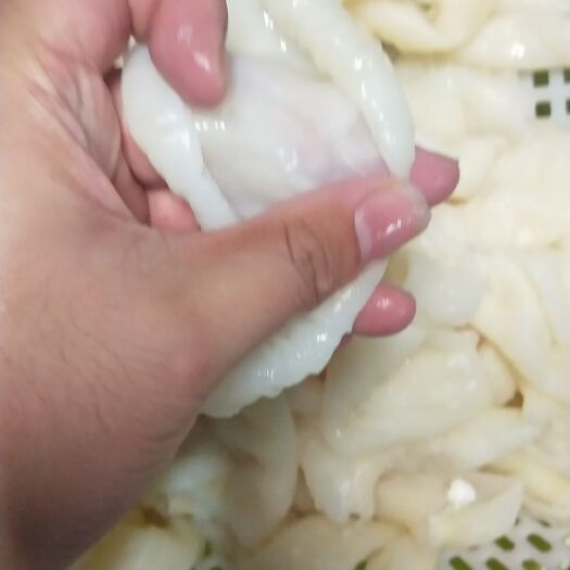 成都兔肉类 兔肚