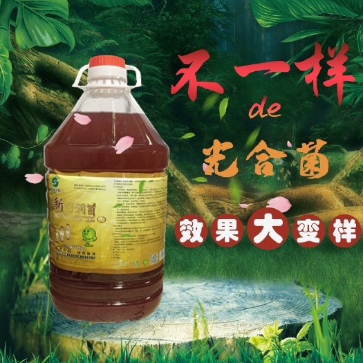 灌南县微生物菌剂  微生物饲料添加剂光合细菌菌水产养殖鱼虾调水净水控蓝藻益生菌