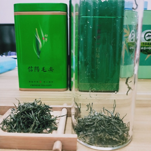 光山县毛尖茶  2021信阳毛尖春季高端茶