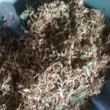 镇安县金银花根 金银花