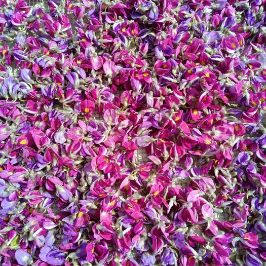 横峰县今年的新葛花，品质好