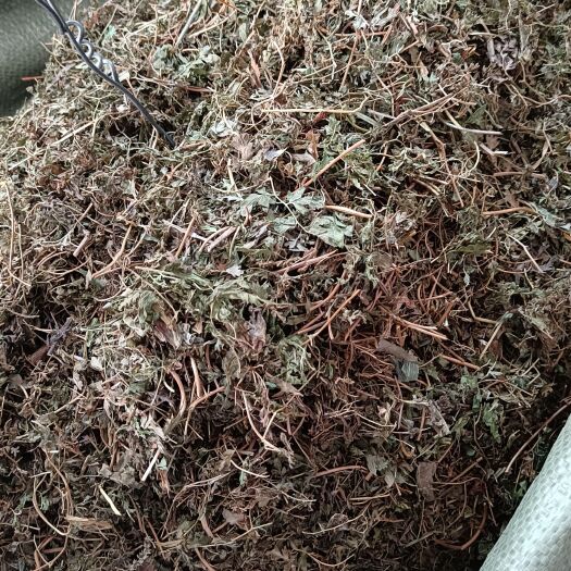 中草药海金沙藤草别名金沙藤罗网藤虾蟆藤 蛤蟆藤