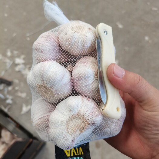 金乡县红皮蒜  太空大蒜5-6.5公分，原包，精加工，冷库储存