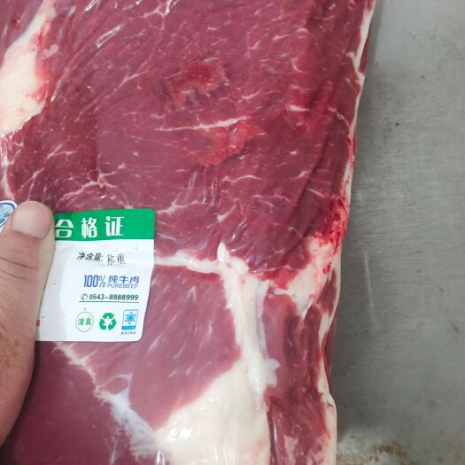 阳信县牛肉类  国产牛上脑      量大从优