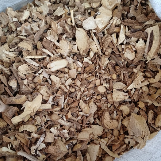 玉林无硫黄花倒水莲.吊吊黄、黄花吊水莲、观音串、黄花大远志