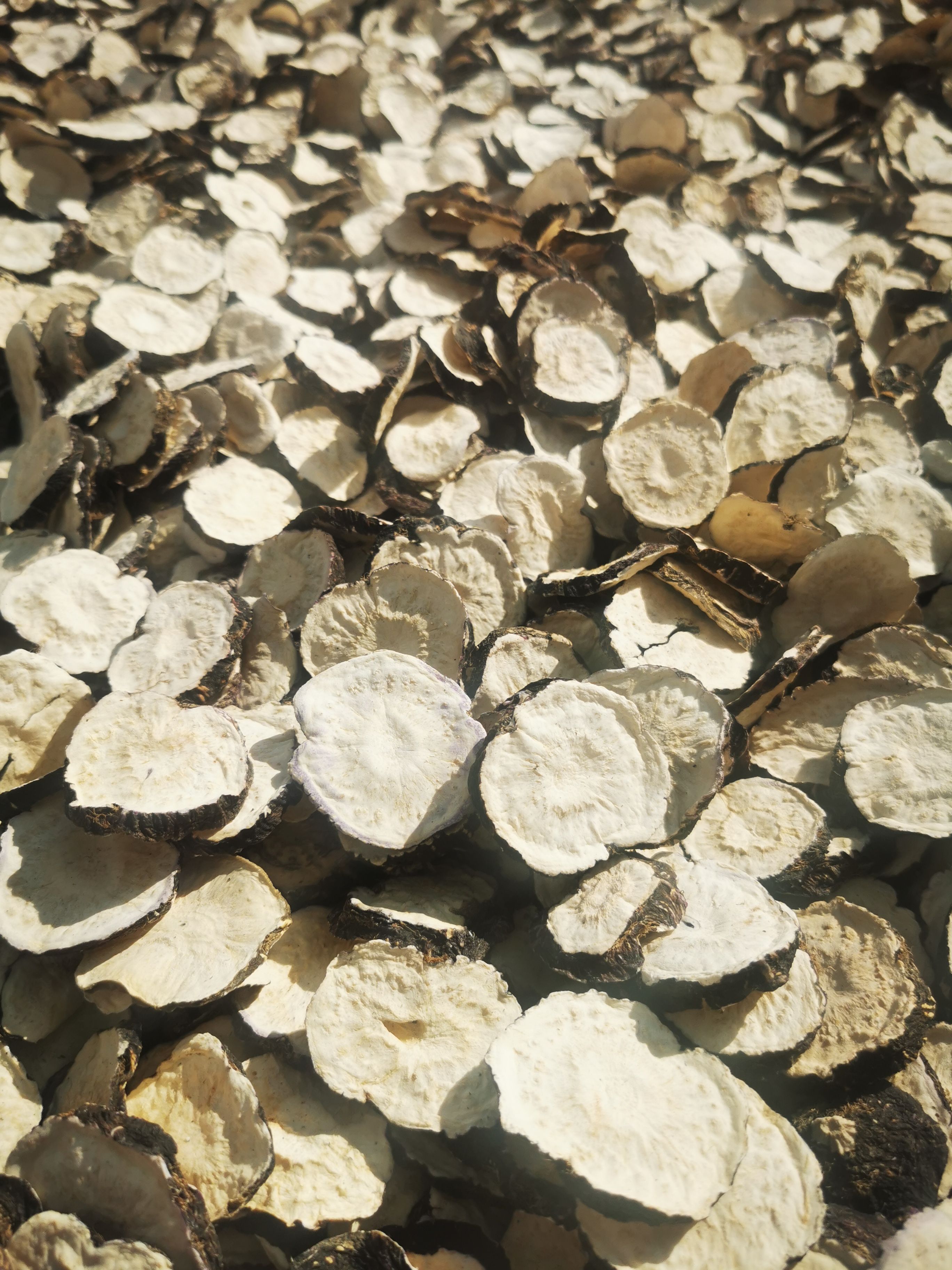 云南丽江高海拔黑玛卡片。5斤包邮一斤也是批发价包邮。产地直邮