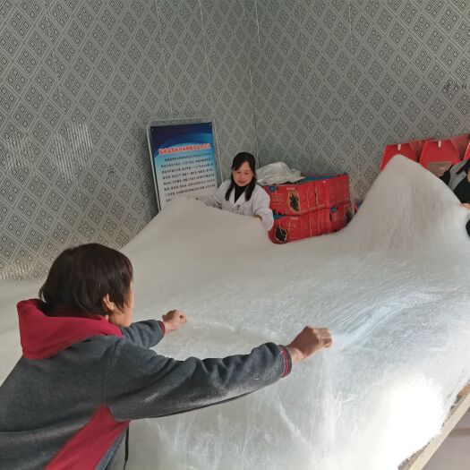 临城县 蚕丝被，桑蚕丝，来自于北方的蚕丝被生产基地。