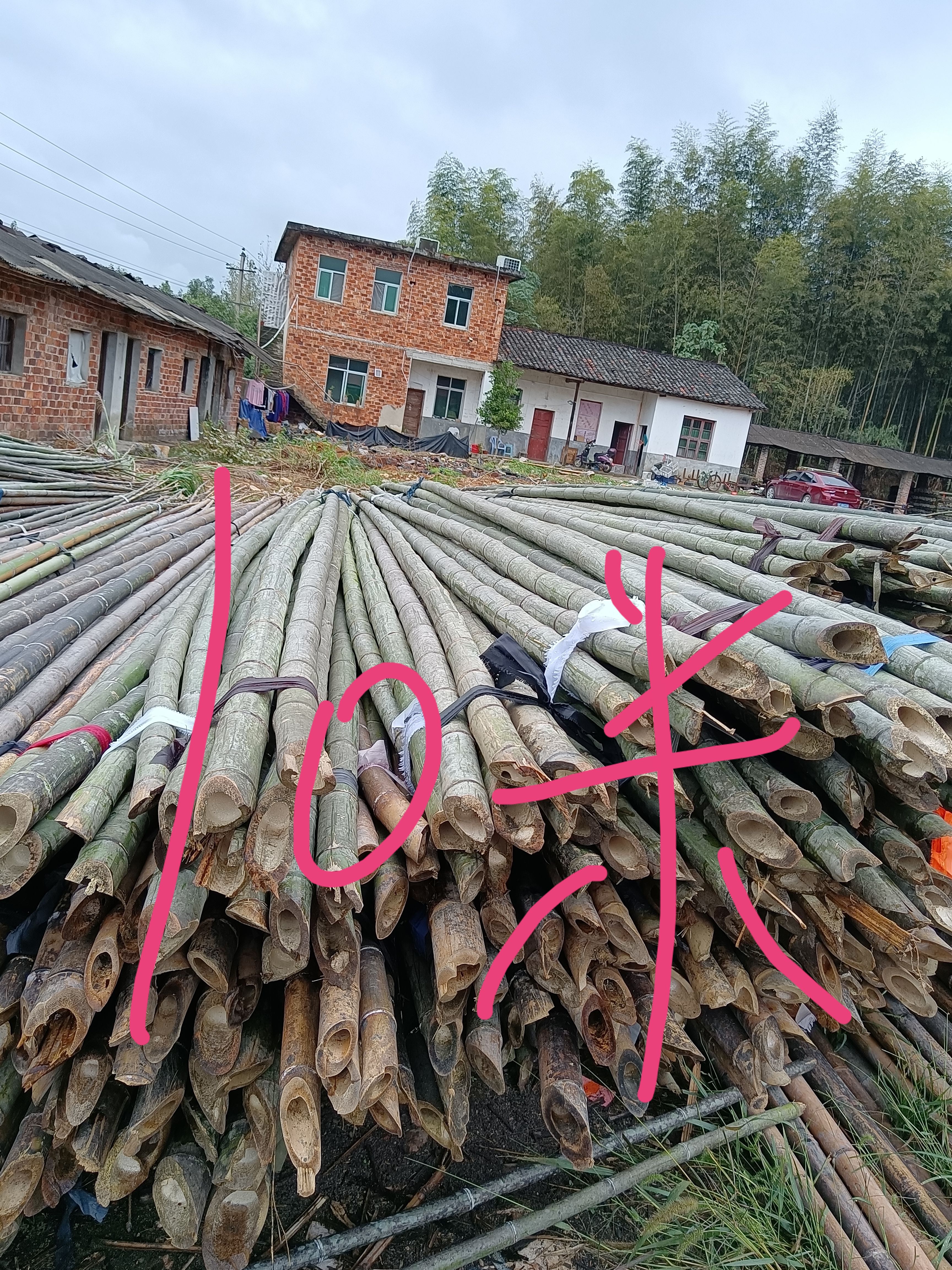 各种规格竹竿厂家直销