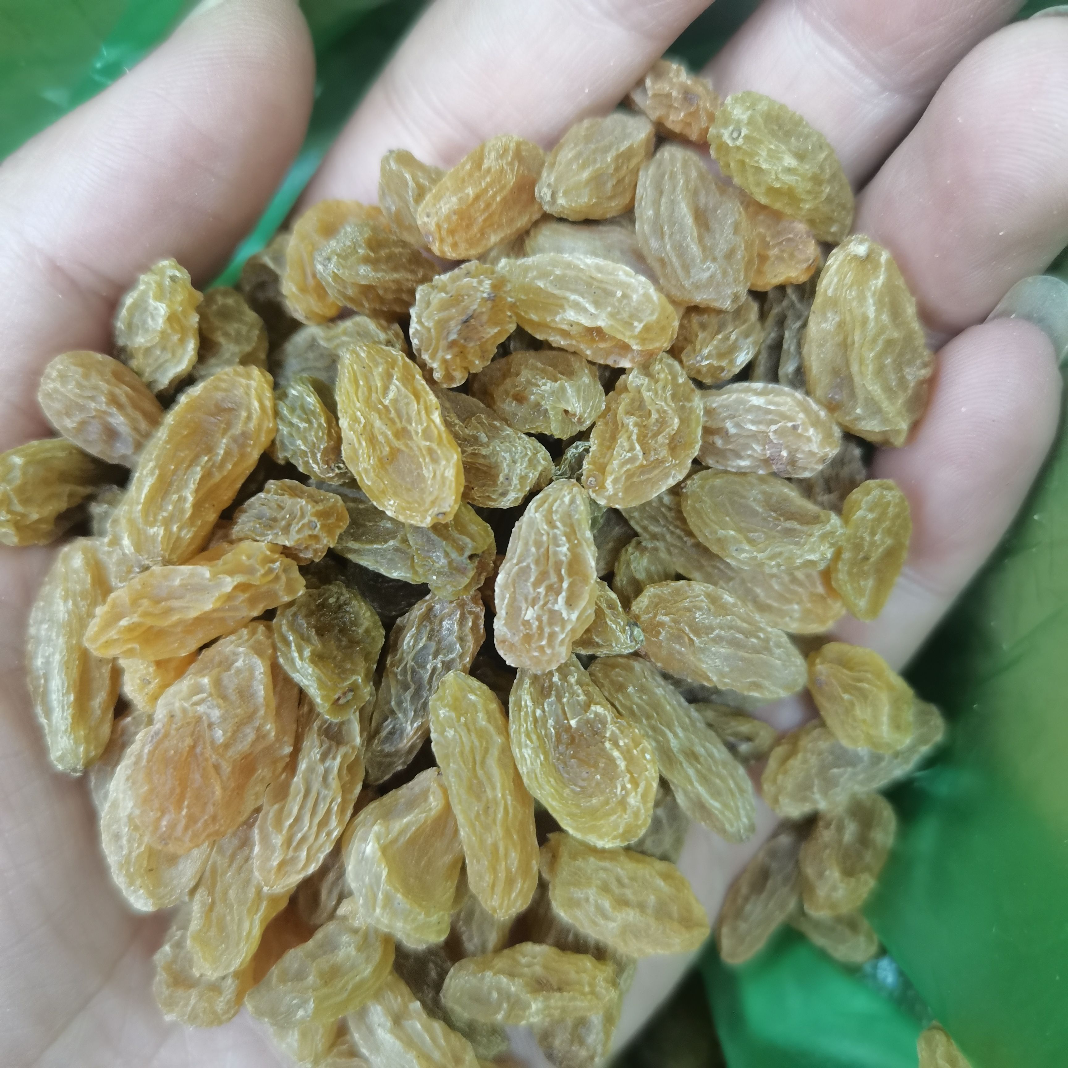 无核葡萄干  要便宜实惠货找我！今年的新货95一箱！一箱19