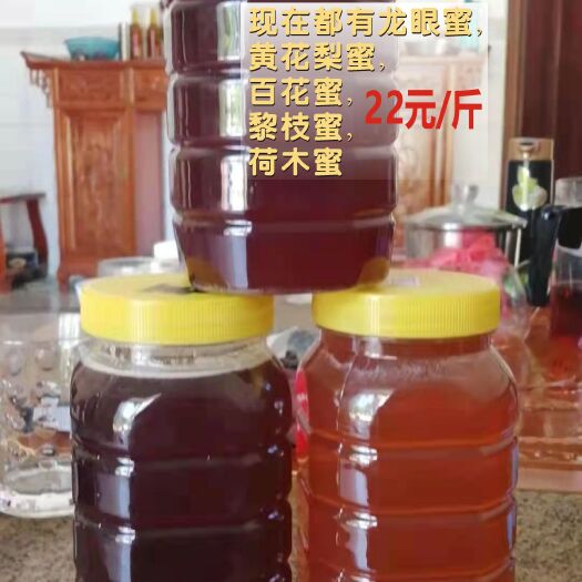 罗定市现在都有龙眼蜜，黄花梨蜜，百花蜜，黎枝蜜，荷木蜜