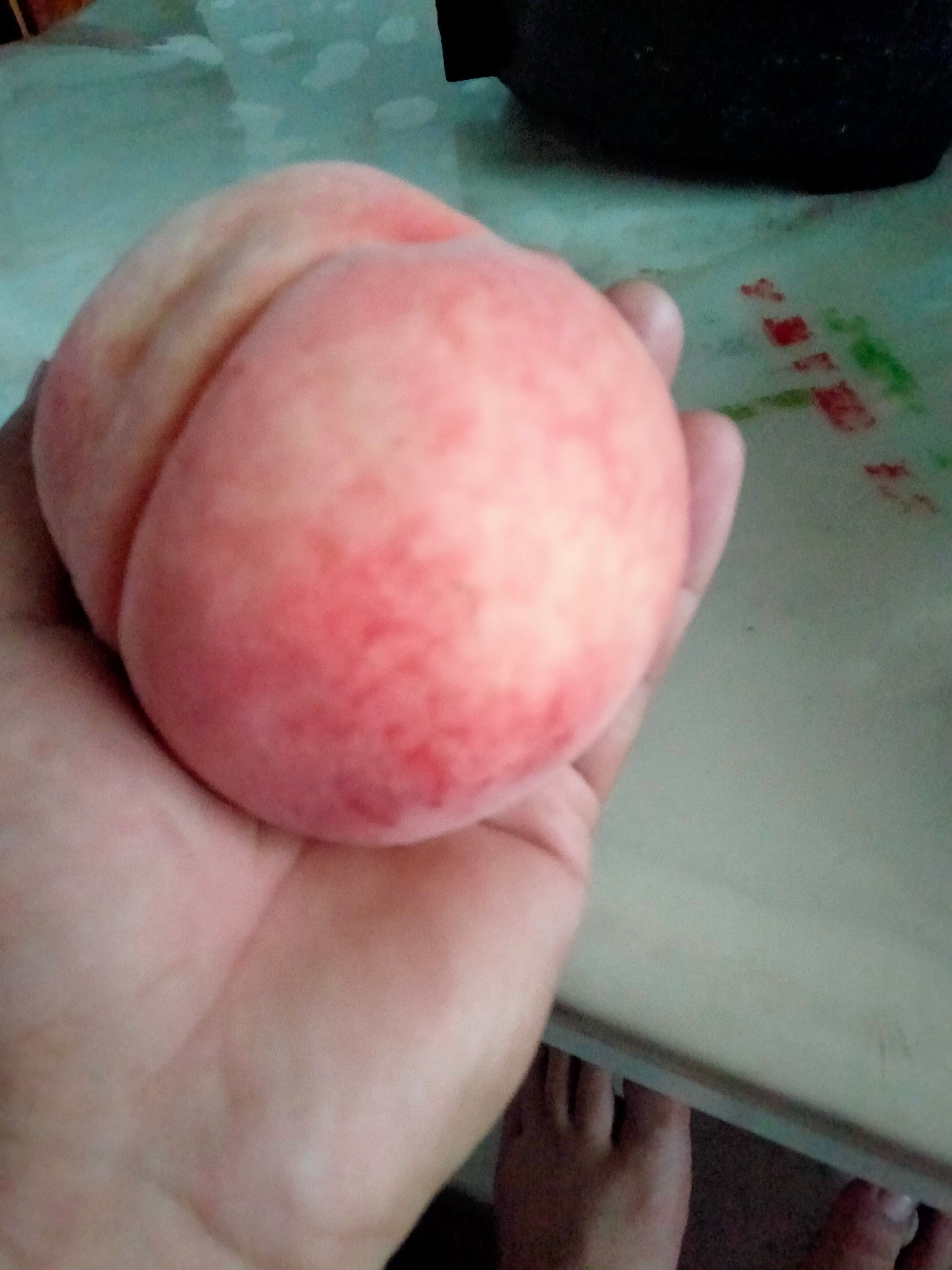 秋雪桃苗  多个品种，欢迎你的订购。