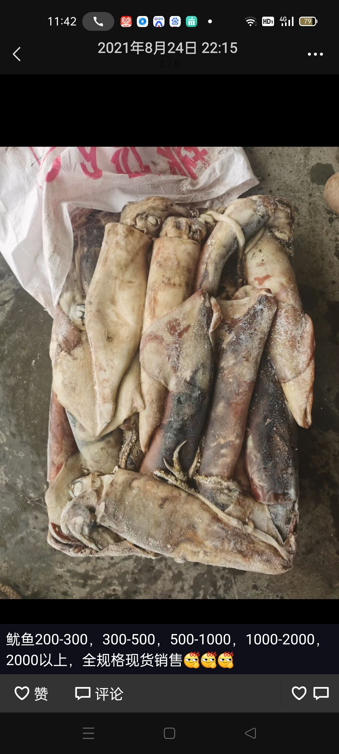  新鲜大鱿鱼冷冻鱿鱼乌贼八爪鱼