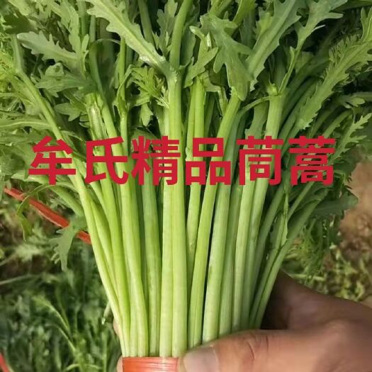 寿光市 精品茼蒿，全年供货，基地直发