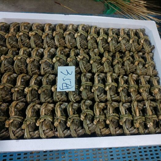 兴化市 大闸蟹