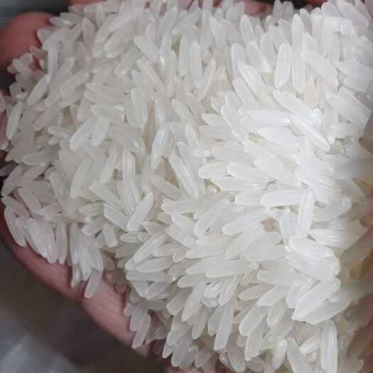 广州籼米  柬埔寨大米，长粒香/鸡蛋花米