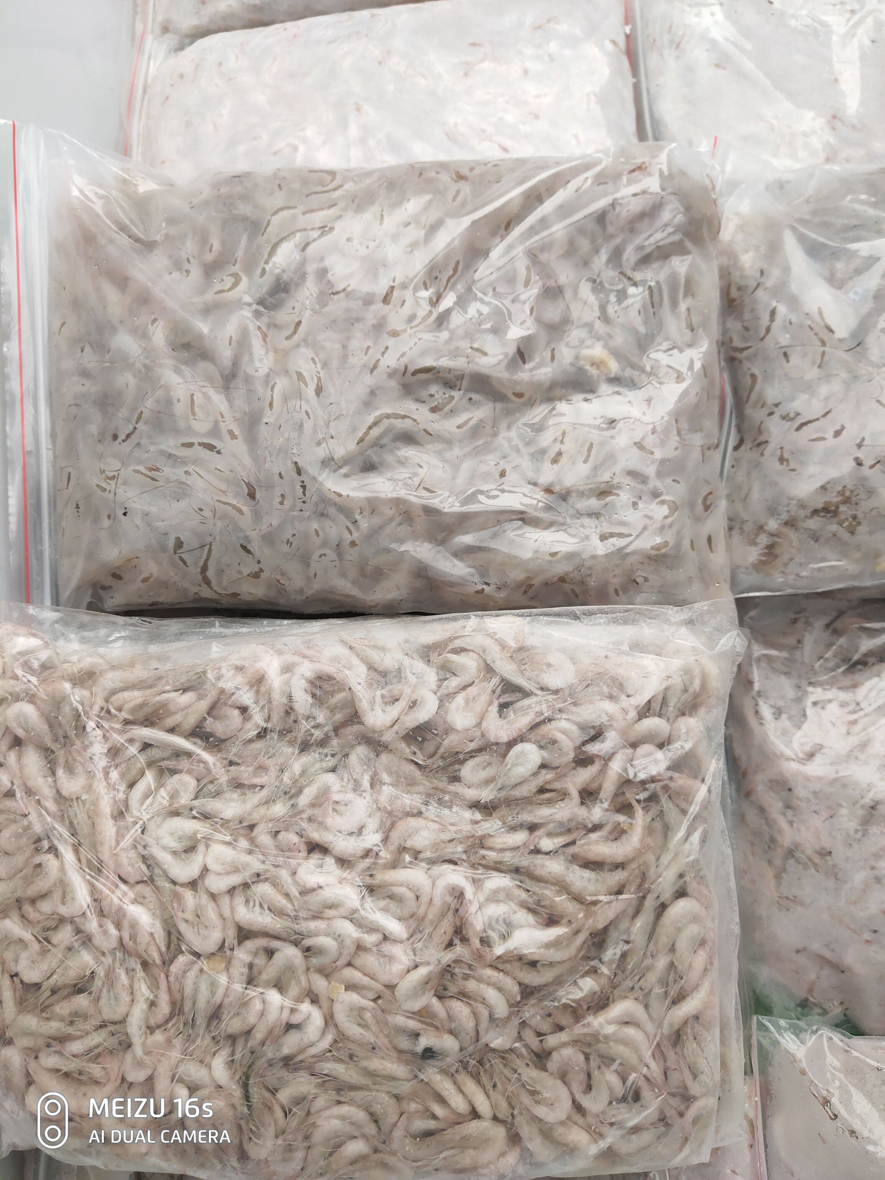 青虾 速冻新鲜小河虾