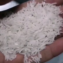 洞口县优质香米