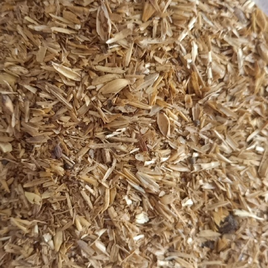 正定县山东烘干啤酒糟