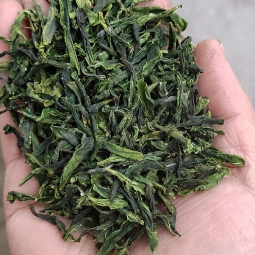 金寨县 六安瓜片