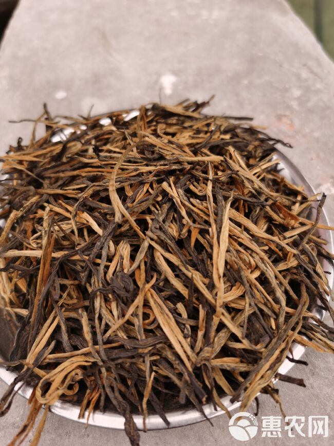 蜜香金针  滇红茶 精品红茶 蜜香红茶一芽一叶