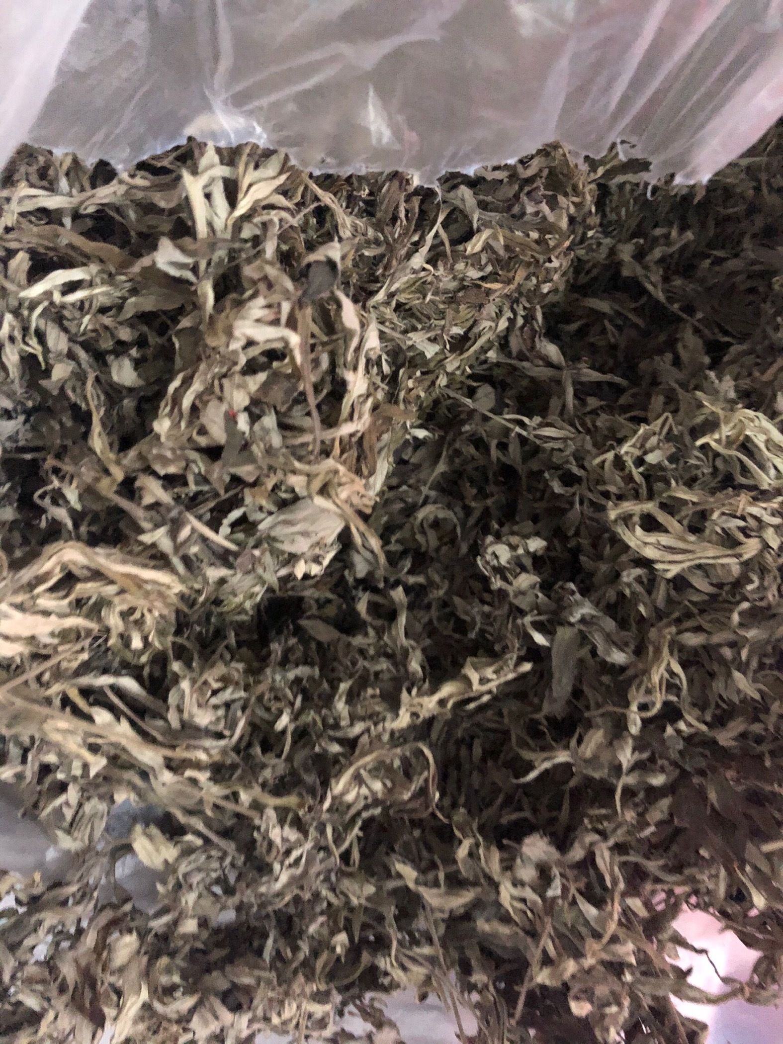 【多仓发货】艾草 老艾叶泡脚 薄利多销 当天发货 质量保证