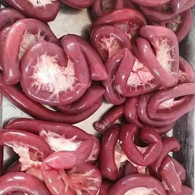 锡林浩特羊肠  锡盟羊血肠盘肠 草原美食，，羊血+荞面手工制作而成干