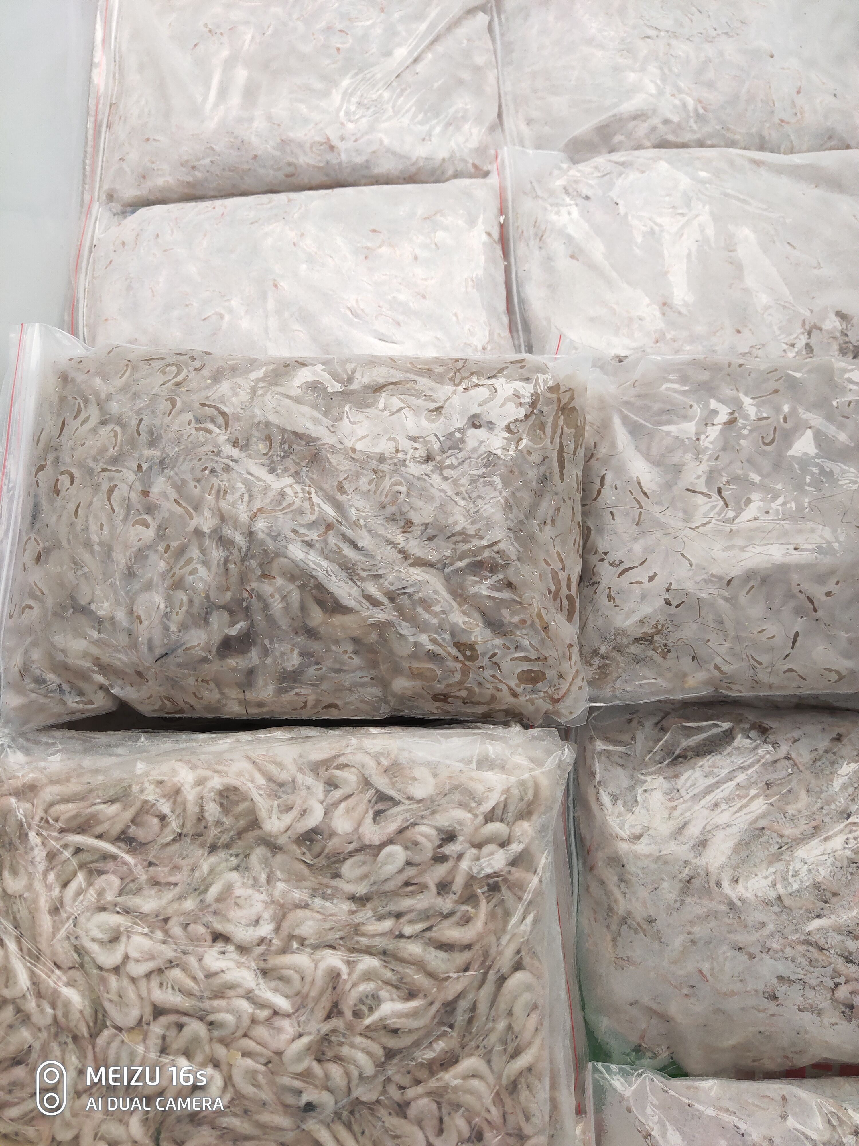 青虾 速冻新鲜小河虾