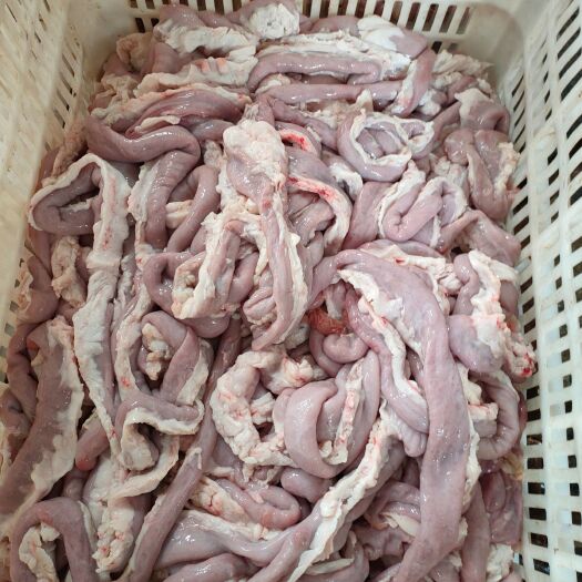 阳信县牛杂 牛粉肠厂家直销