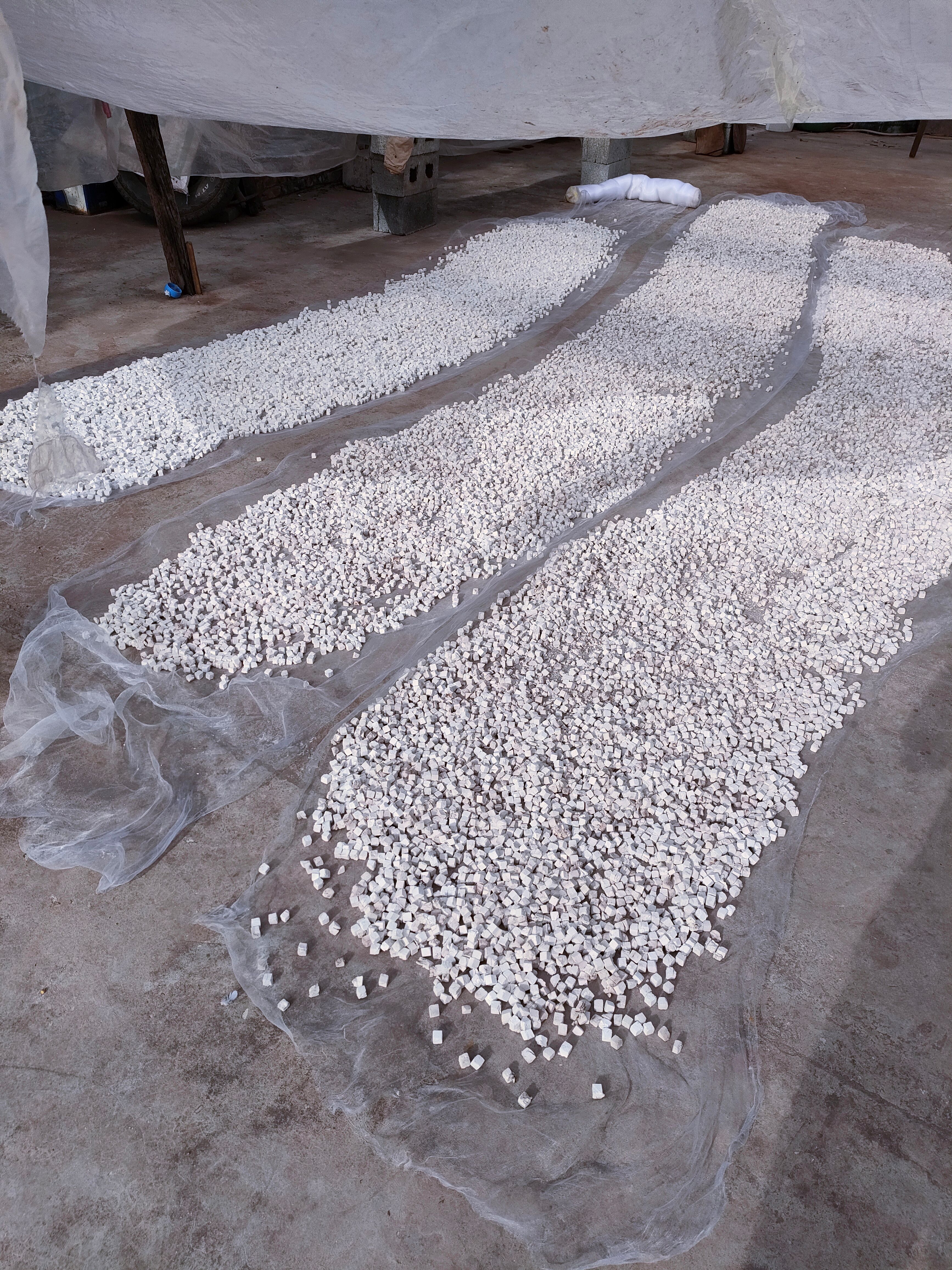 白茯苓  云南茯苓