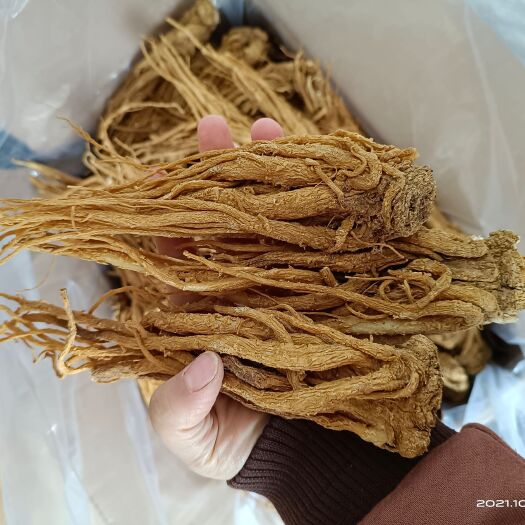 陇西县全干岷县大当归，个大没渣子
