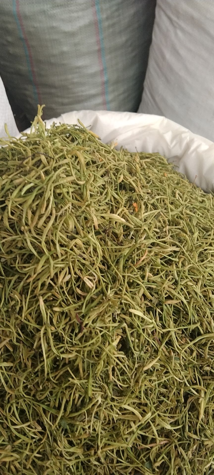 绿金银花无硫新货过检五彩花广西花批零兼营金银花暴涨下单请询价