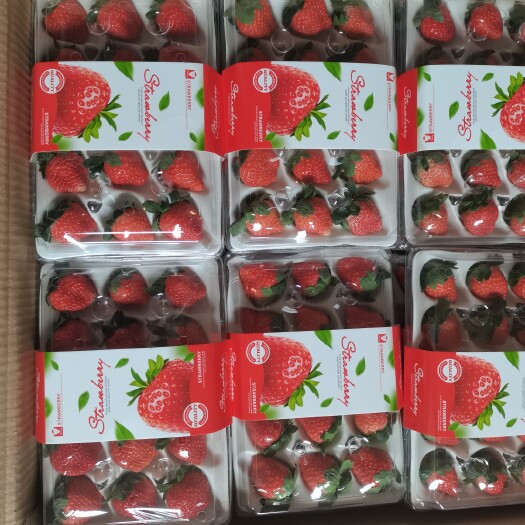 徐州宁玉妙香奶油草莓