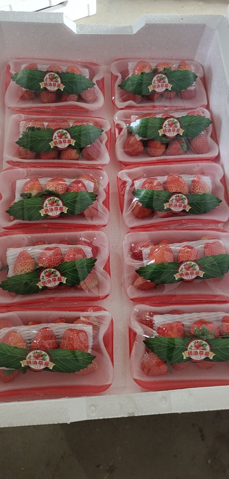  徐州暖棚草莓大量上市了