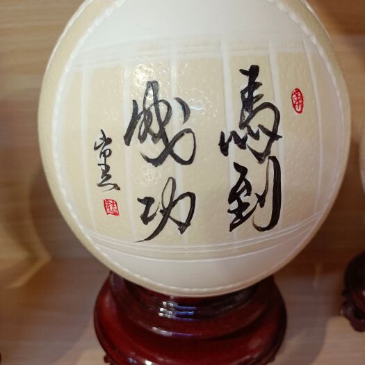 汶上县鸵鸟苗