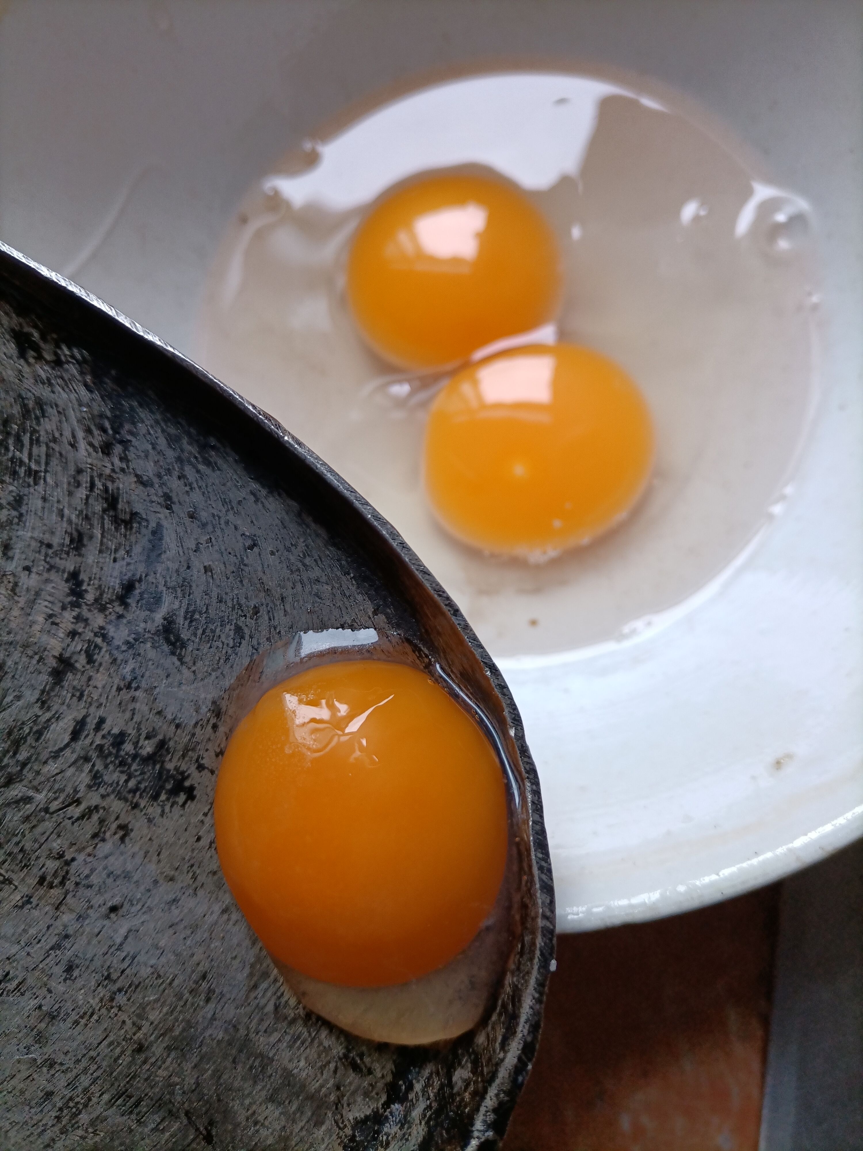 土鸭蛋  每天现捡   以五谷杂粮喂养加放养，食用孵化均可