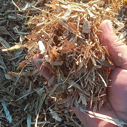 前郭县玉米秸秆 草质量非常好。合作一次终身朋友