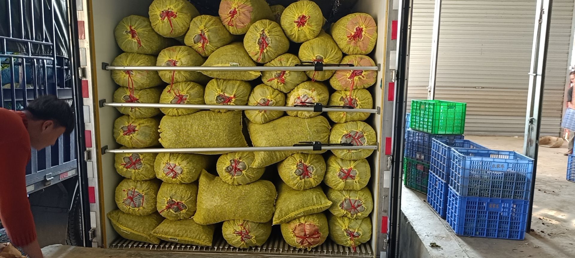 中白沙 鲜花生，有通货，有精选货