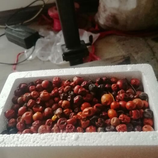焦作河南焦作龙翔山特产野生干酸枣，自然晾晒