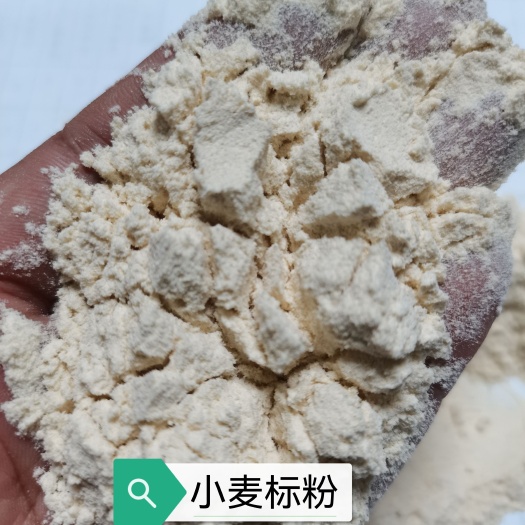 石家庄小麦粉 小麦标粉
