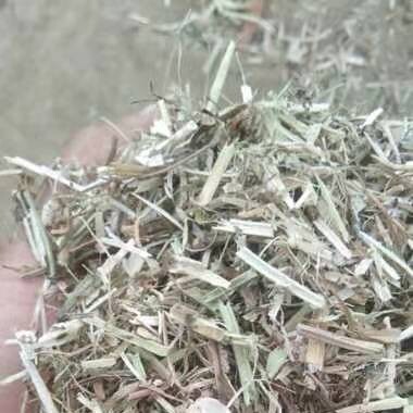 社旗县花生秧 大型揉丝机加工，过滚筒筛子，保证无土无膜无霉变，诚信经营