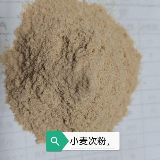 石家庄 小麦次粉
