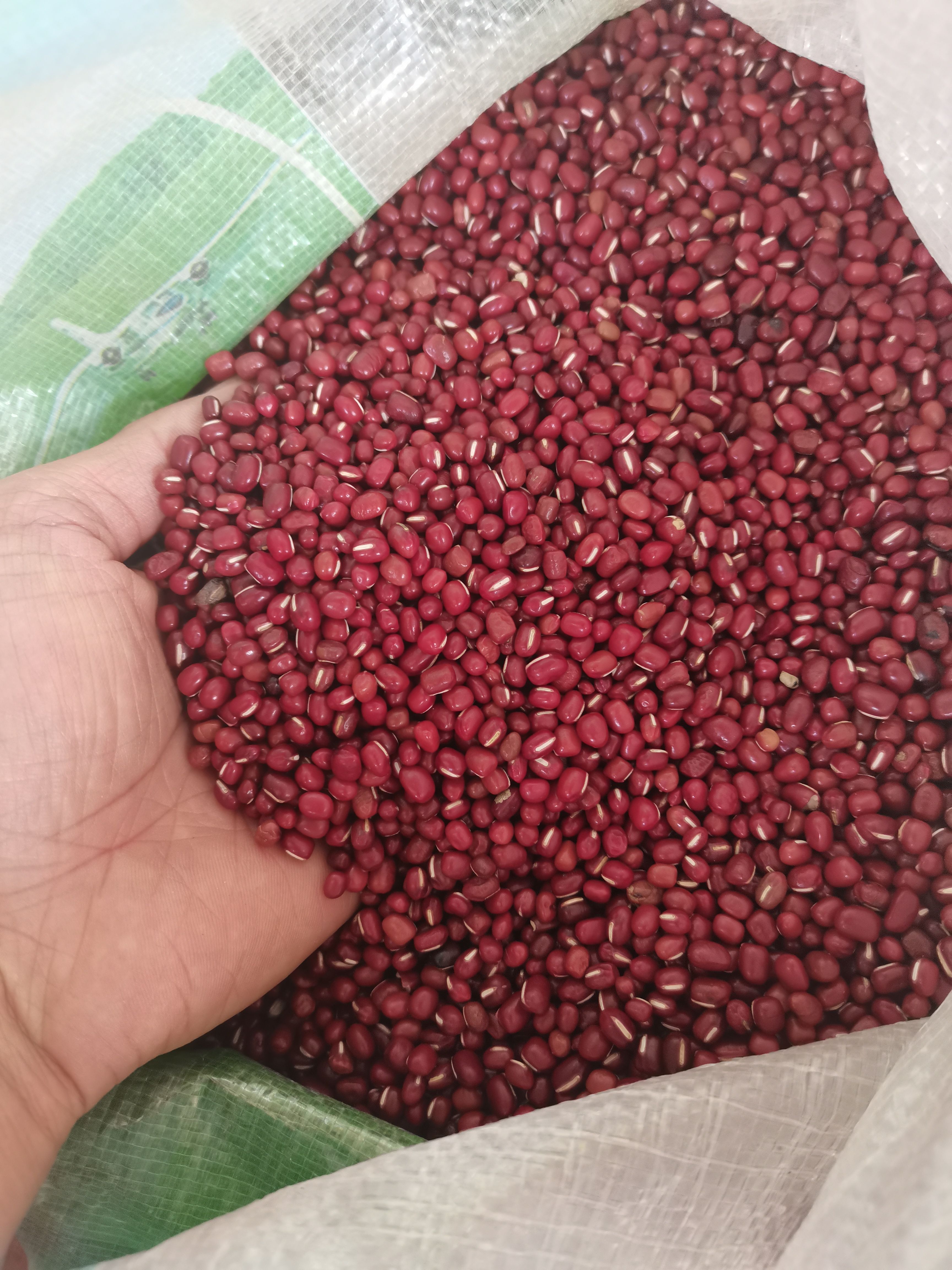 红豆  红小豆 新货红小豆 各种香辛料中药材批发