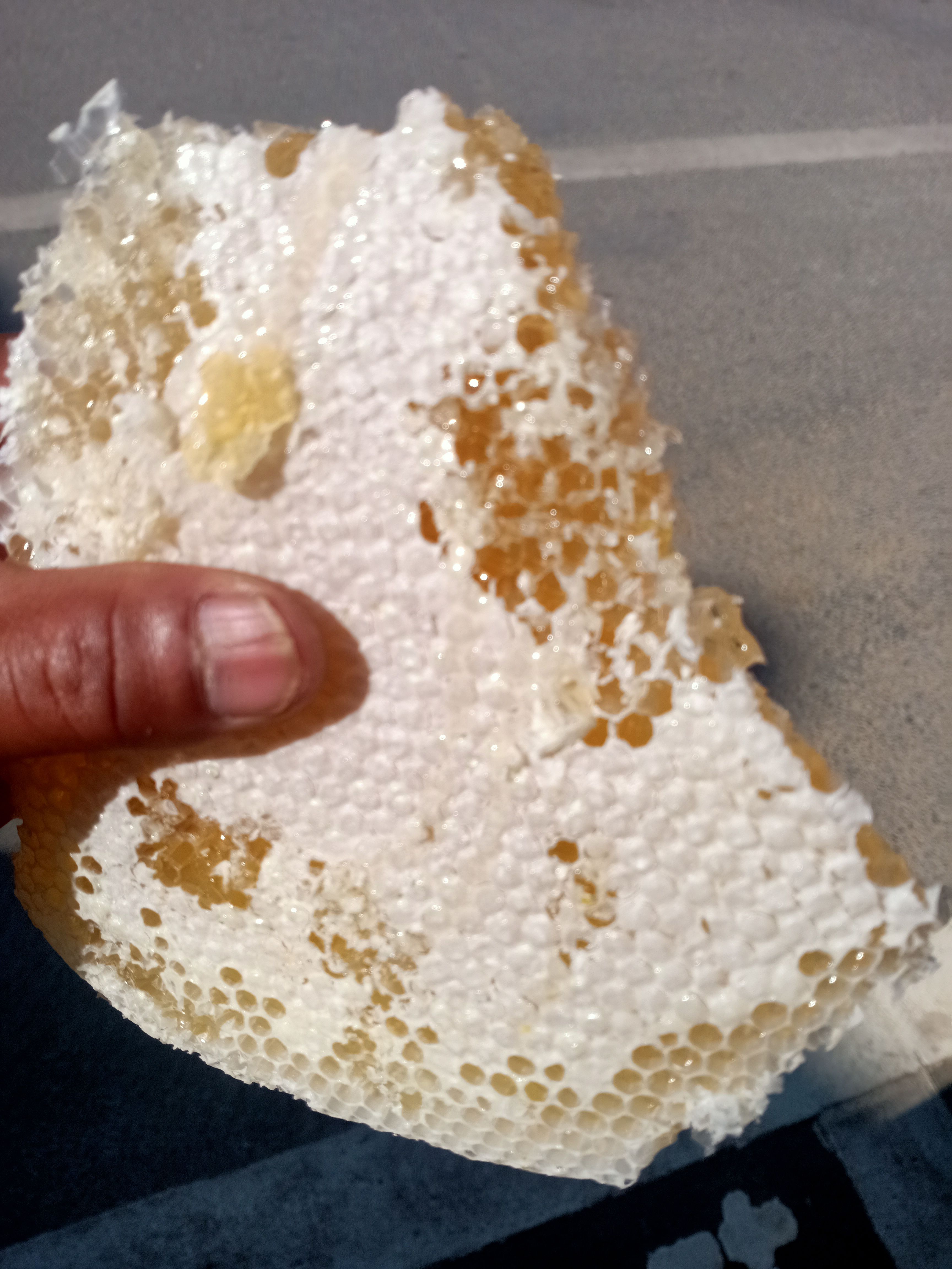 野蜂蜜  百花蜂蜜 一斤包邮！质量保证假一赔十 需要的朋友请