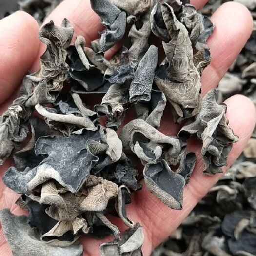 商丘椴木银耳 黑木耳干货东北厚肉剪根小碗耳秋木耳特产滋补