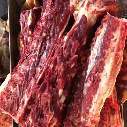 驴骨 鲜冻多肉驴脊骨 驴蝎子颜色鲜可切块儿 全程冷链运输
