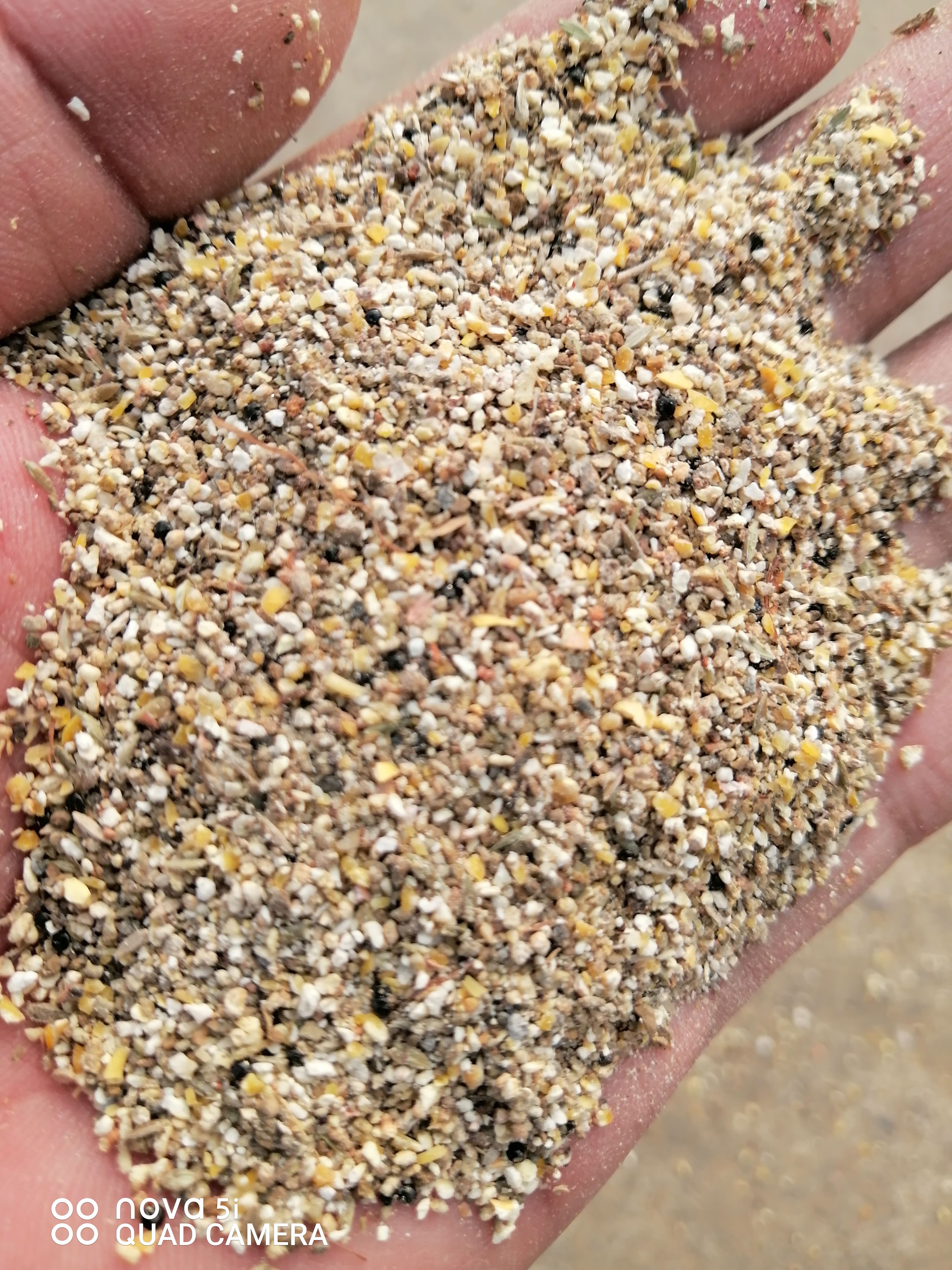 干玉米  玉米小碎料，