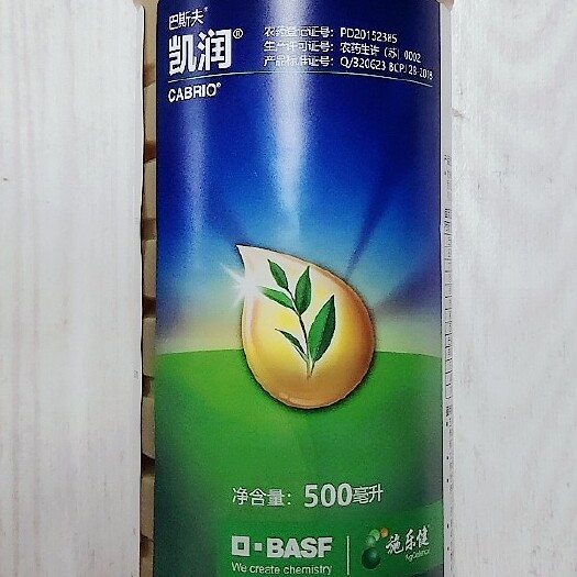  巴斯夫凯润吡唑醚菌酯500毫升炭疽病白粉病斑点落叶病