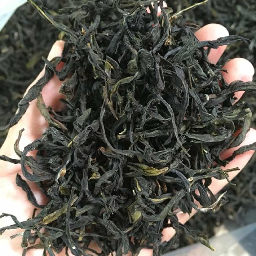 潮州单丛茶  凤凰单枞鸭屎香